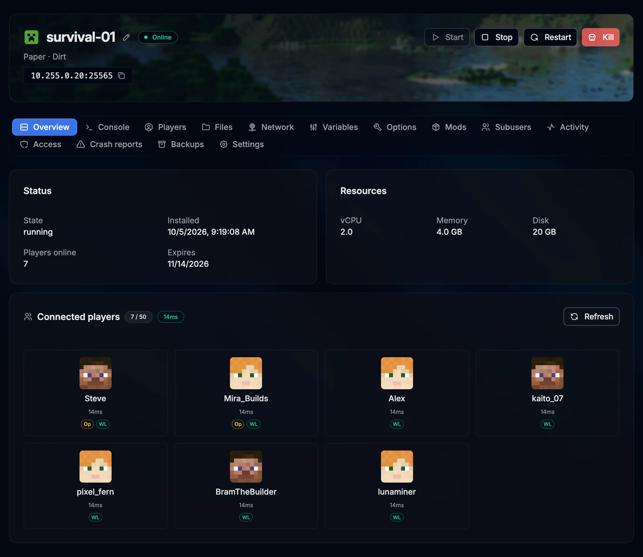 The overview of a running Paper server in the PlaySafe panel: power controls, server address, status, resources and the connected players with their skins